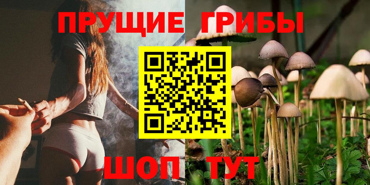 Рузаевка  Псилоцибиновые грибы прущие грибы  Псилоцибиновые грибы Cubensis  Вход с VPN 